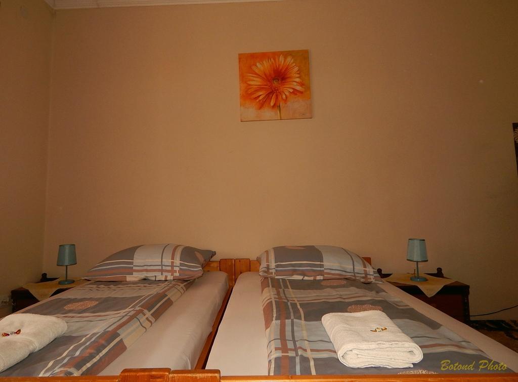 Sator-Hegy Vendeghaz Hotel Abaújszántó Bagian luar foto