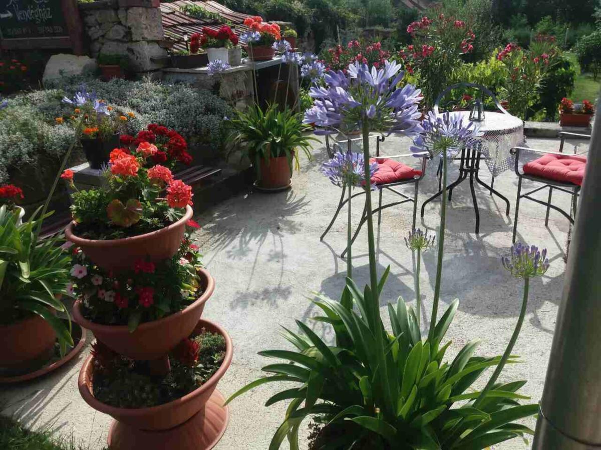 Sator-Hegy Vendeghaz Hotel Abaújszántó Bagian luar foto