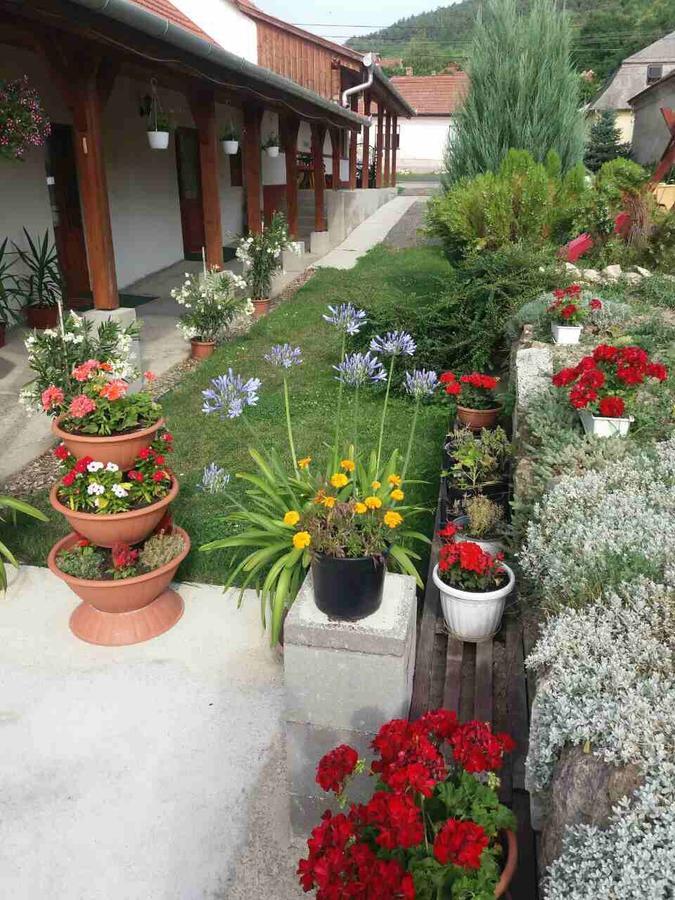 Sator-Hegy Vendeghaz Hotel Abaújszántó Bagian luar foto